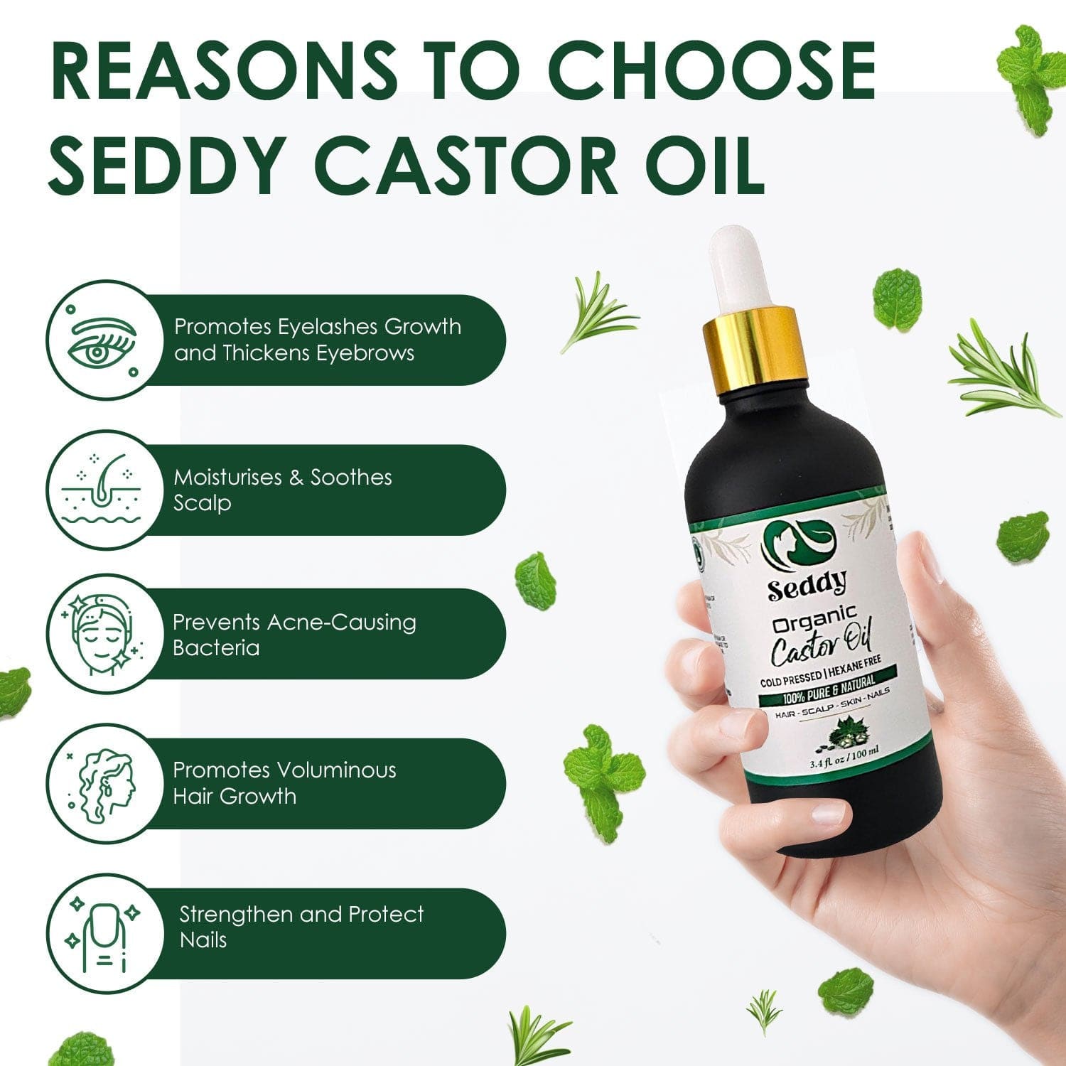 Seddy Pure Organic Castor Oil - 3.4 Fl. Oz