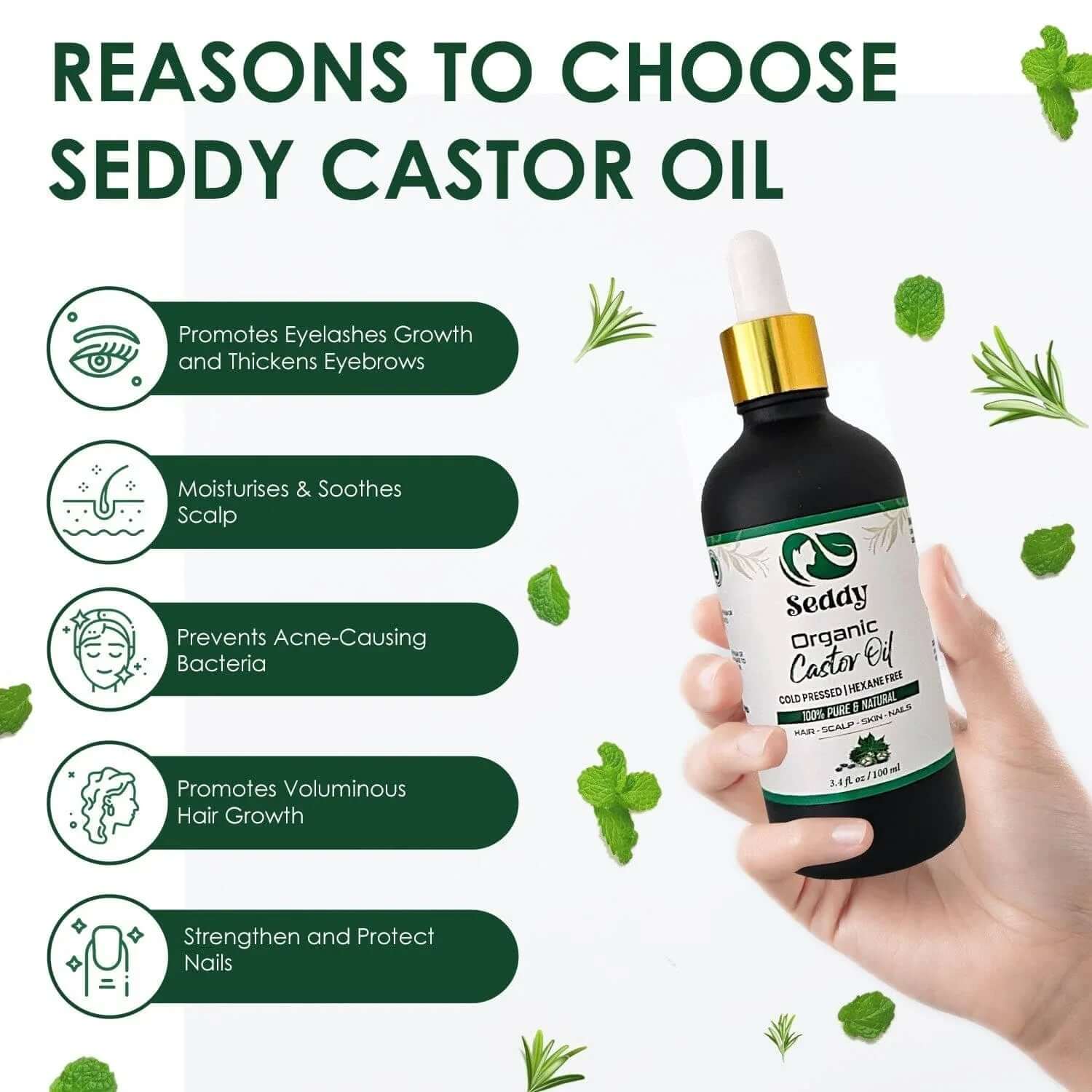 Organic Castor Oil - 3.4 Fl. Oz - Seddy