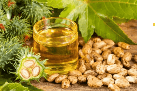Castor Oil, Rosemary, and Peppermint: The Ultimate Trio for Faster Hair Growth - Seddy