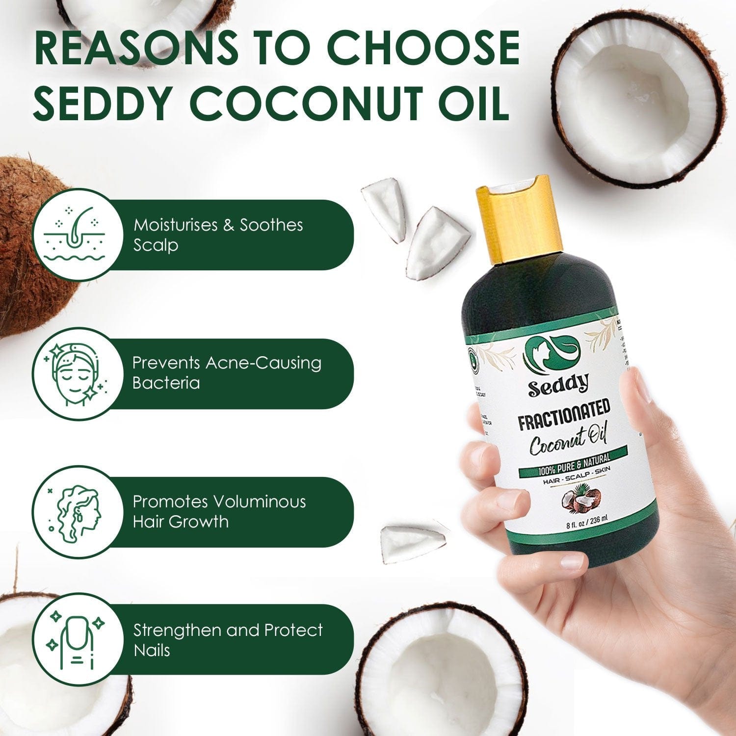 Seddy Fractionated(MCT) Coconut Oil - Lightweight Hydration & Versatile Care - 8 Fl. Oz